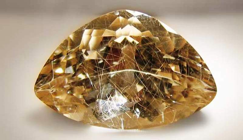 волосатик.jpg волосатик.jpg