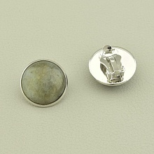 картинка Серьги Лабрадор 18х18 от магазина Wolves