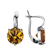 картинка Серьги 3488370-24 от магазина Wolves