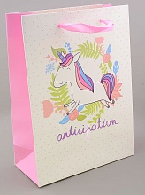 картинка Пакет Картон 230х170 мм от магазина Wolves