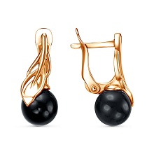 картинка Серьги 34614791А от магазина Wolves