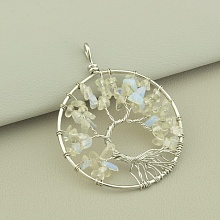 картинка Кулон Лунный камень 60x50мм от магазина Wolves