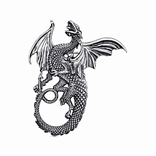 картинка Брошь 14014564 от магазина Wolves