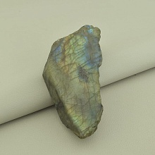 картинка Образец Лабрадор 95x50мм от магазина Wolves