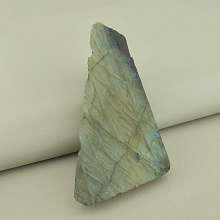 картинка Образец Лабрадор 110x55мм от магазина Wolves