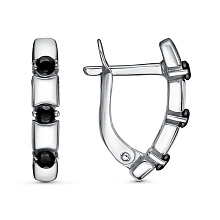 картинка Серьги 34814220А от магазина Wolves