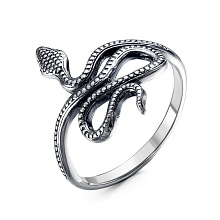 картинка Кольцо 24012012 от магазина Wolves