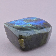 картинка Образец Лабрадор 100x75мм от магазина Wolves