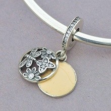 картинка Шарм 'Pandora style' Эмаль от магазина Wolves