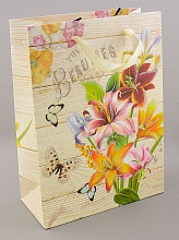 картинка Пакет Картон 230х170 мм от магазина Wolves