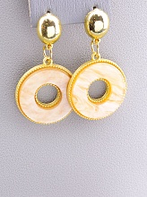 картинка Серьги Пластик 'FJ' от магазина Wolves