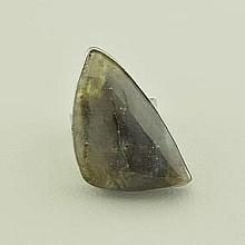 картинка Кольцо Лабрадор от магазина Wolves