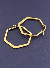 картинка Серьги 'Fashion' от магазина Wolves