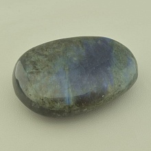 картинка Образец Лабрадор 85x60мм от магазина Wolves