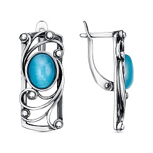 картинка Серьги 34314330Гк от магазина Wolves