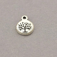 картинка Кулон Серебро(925) от магазина Wolves