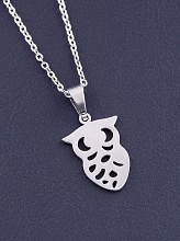 картинка Подвеска 'Stainless Steel' 45 см от магазина Wolves