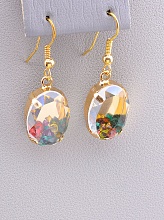 картинка Серьги Сrystal от магазина Wolves