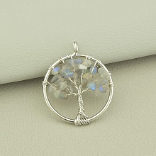 картинка Кулон Лабрадор 28x28мм от магазина Wolves