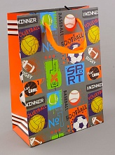 картинка Пакет Картон 230х170 мм от магазина Wolves