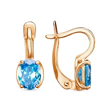 картинка Серьги 34813773Ак от магазина Wolves