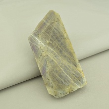 картинка Образец Лабрадор 130x65мм от магазина Wolves