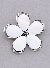 картинка Брошь Перламутр 45x45мм от магазина Wolves