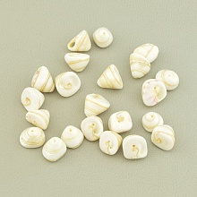 картинка Кабошон Ракушка 10х10мм от магазина Wolves