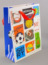 картинка Пакет Картон 230х170 мм от магазина Wolves