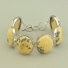 картинка Браслет Яшма 19 см от магазина Wolves