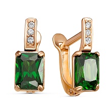 картинка Серьги 3486003Из от магазина Wolves