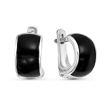 картинка Серьги 3409312С1 от магазина Wolves