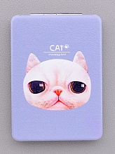 картинка Зеркальце карманное складное, серое от магазина Wolves