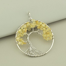 картинка Кулон Цитрин 60x50мм от магазина Wolves