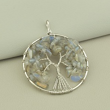 картинка Кулон Лабрадор 60x50мм от магазина Wolves