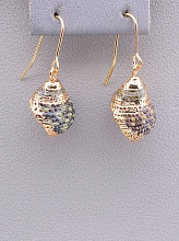 картинка Серьги 'SUNSTONES' Ракушка от магазина Wolves