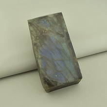 картинка Образец Лабрадор 130x55мм от магазина Wolves