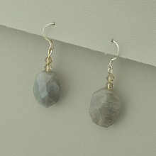 картинка Серьги Лабрадор от магазина Wolves