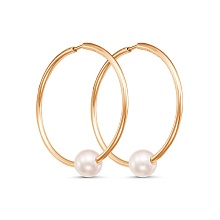 картинка Серьги 34310621К от магазина Wolves