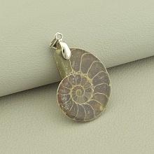картинка Кулон Аммонит 30x25мм от магазина Wolves
