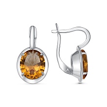 картинка Серьги 34812384С24 от магазина Wolves