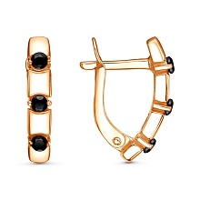 картинка Серьги 34814221А от магазина Wolves