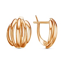 картинка Серьги 34013435 от магазина Wolves