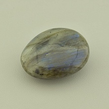 картинка Образец Лабрадор 55x35мм от магазина Wolves