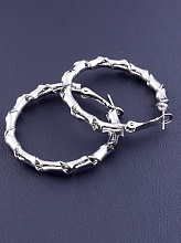 картинка Серьги 'Fashion' от магазина Wolves