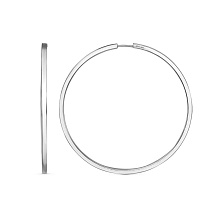 картинка Серьги 34015880Пл от магазина Wolves