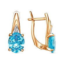 картинка Серьги 34815113Дак от магазина Wolves