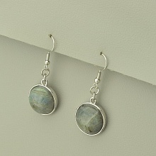 картинка Серьги Лабрадор 43х18 от магазина Wolves