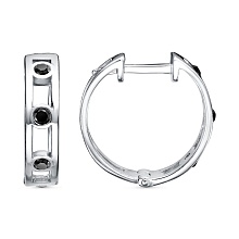 картинка Серьги 34614394Пла от магазина Wolves