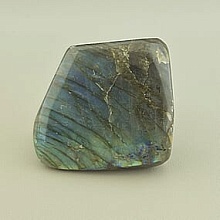 картинка Образец Лабрадор 75x70мм от магазина Wolves